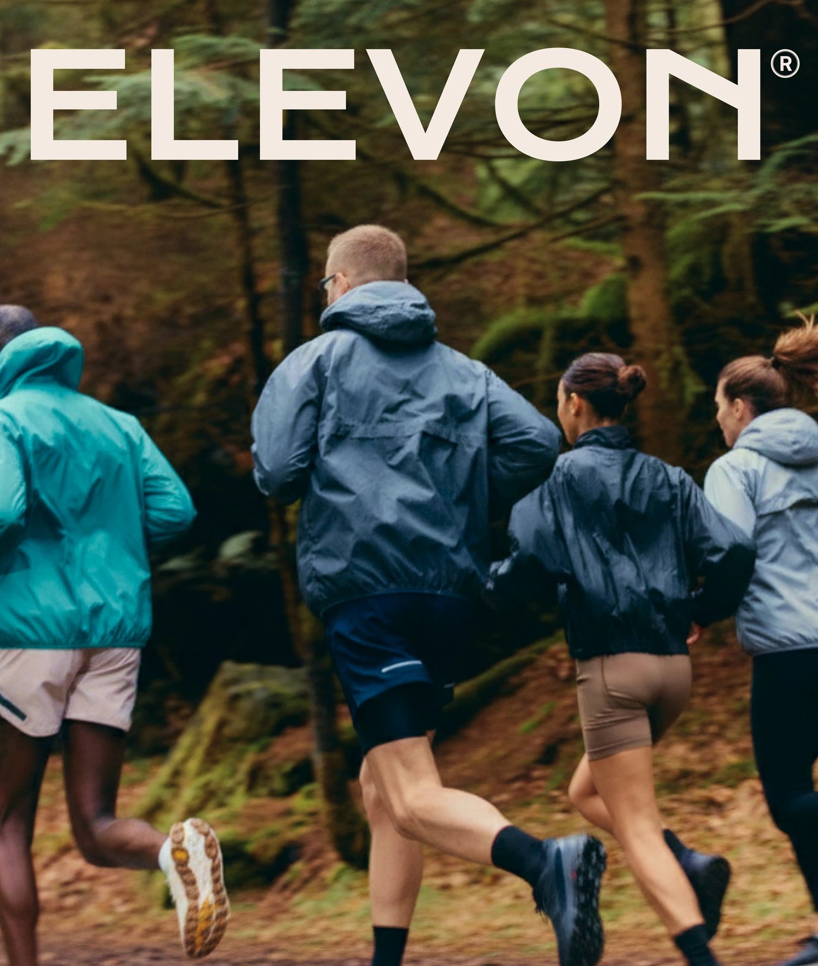 Elevon